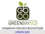 green-bay-dianomes-banner