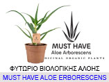 must-have-aloe