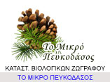 to-mikro-peukodasos