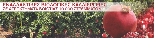mpimpas banner