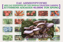 05-mpimpas-9