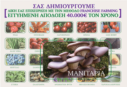 05-mpimpas