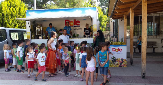 08-dole-mpananes