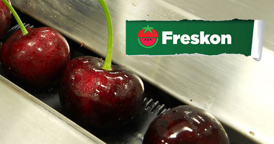 30-freskon