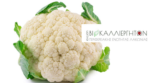 03-biologika