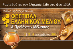 23-festival-ell-meliou-b-9