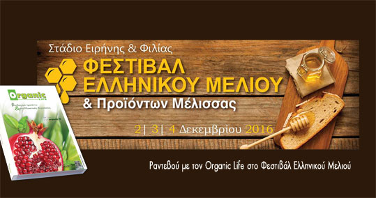 29-organic-fest