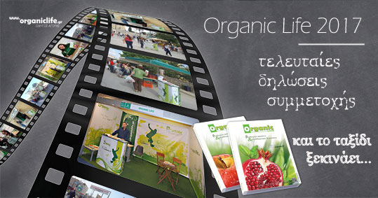04-organic-