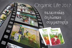 04-organic-9