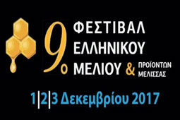 02-festival-9