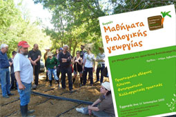 15-oikosxoleio-9