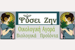 23-fysi-zein-9