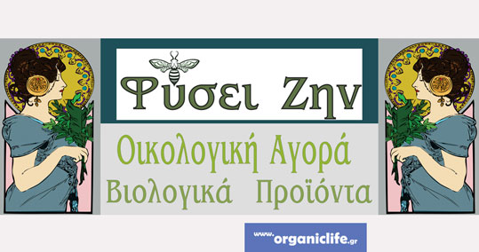 23-fysi-zein-b