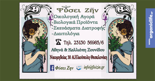 01-fysei-zin