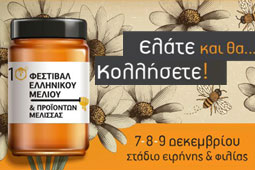 26-festival-meliou-9