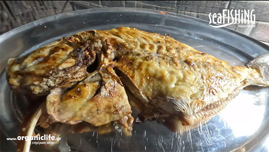 11-pos-psinoume-gourounopraro