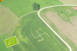 nazi_organic_9