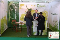 organic_9