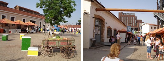 agro 4