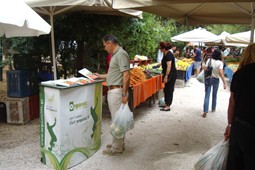 palaio psixiko 9
