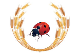 26-agores-viokalliergiton-9