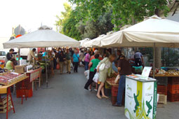 02-viologikes-laikes-9