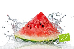 17-biologiki-laiki-9