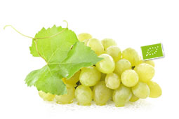 25-souidia-biologika-9