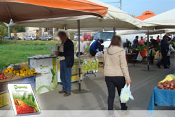 19-biologikes-laikes-9