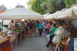 21-agores-biokalliergiton-9