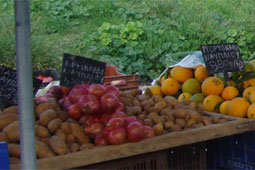 29-biologikes-laikes-9