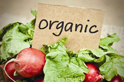 11-biologika-kanonismos-9