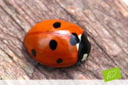 09-biologika-axaia-9