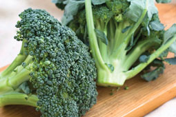 17-biologika-laxanika-9