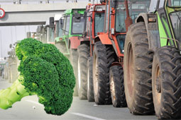 26-biologikes-laikes-9