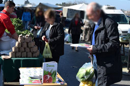 27-biologika-kalamaria-9