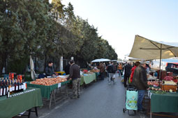 11-biologikes-agores-9