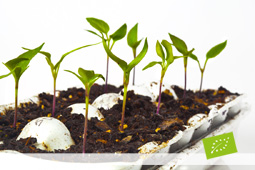 23-biologikoi-sporoi-9