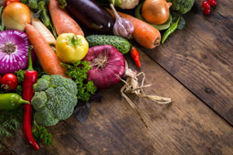 31-agores-biokalliergiton-9