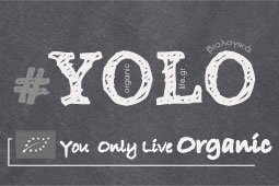18 yolo-9