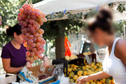 28-biologiki-laiki-9