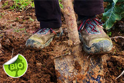 25-biologika-stremmata-9