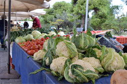 19-agora-ilioupoli-9