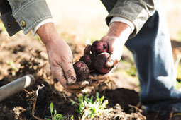 09-biologika-erotiseis-9