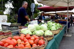 20-biokalliergites-9