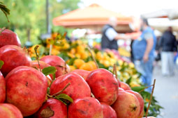 02-biologikes-laikes-9