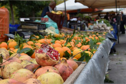 13-biologikes-laikes-9