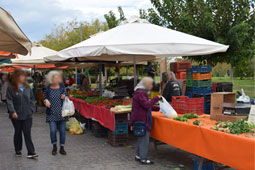 13-biologikes-laikes-9