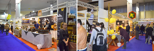 06-festival-meliou-1