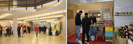 06-festival-meliou-3